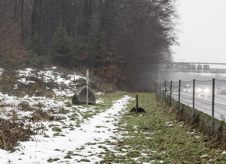 Kommen Riese Botti und seine Schwester irgendwann zur Ruhe? Anzeiger