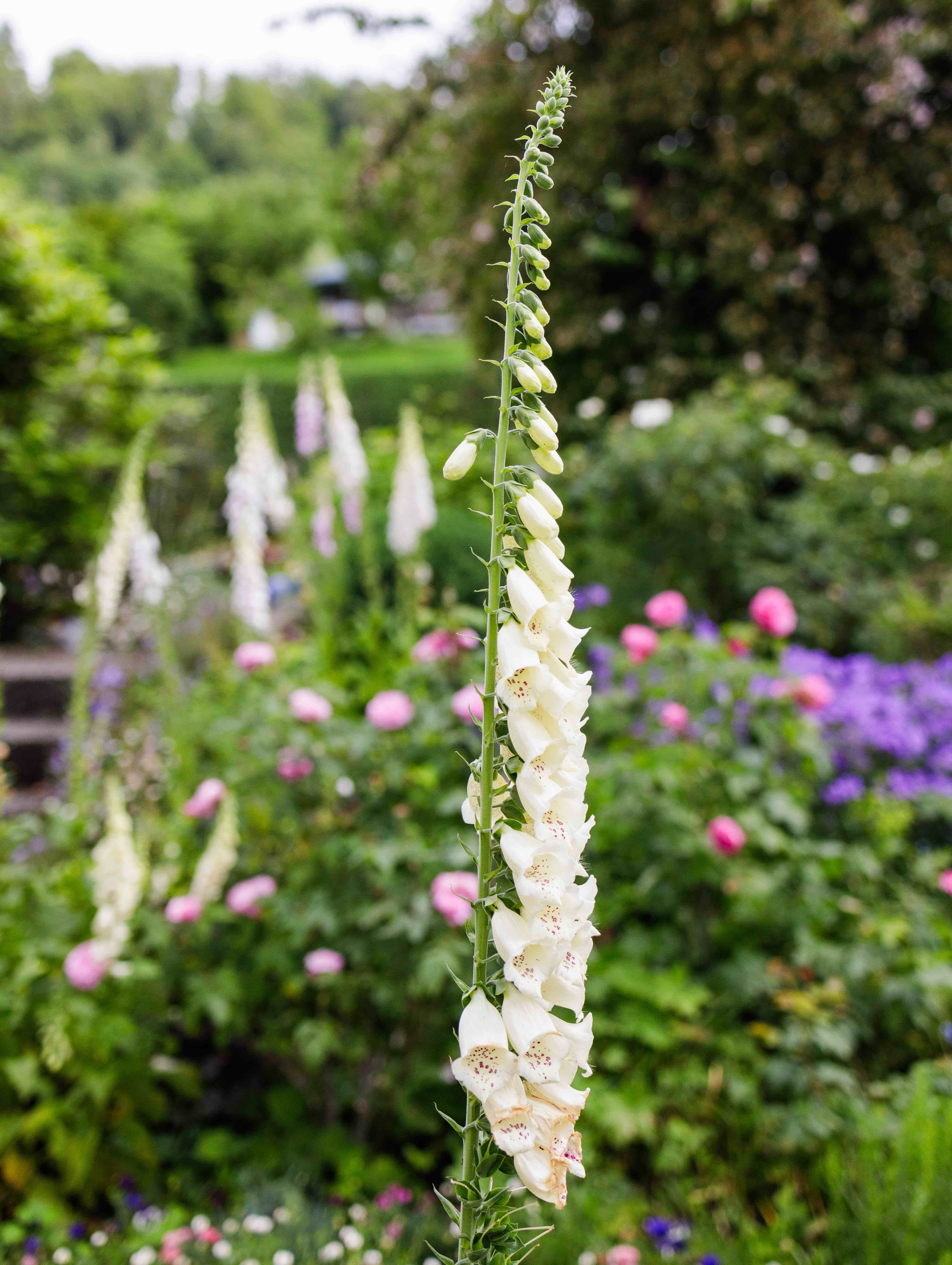 04 Johanna Kurzen Wittke