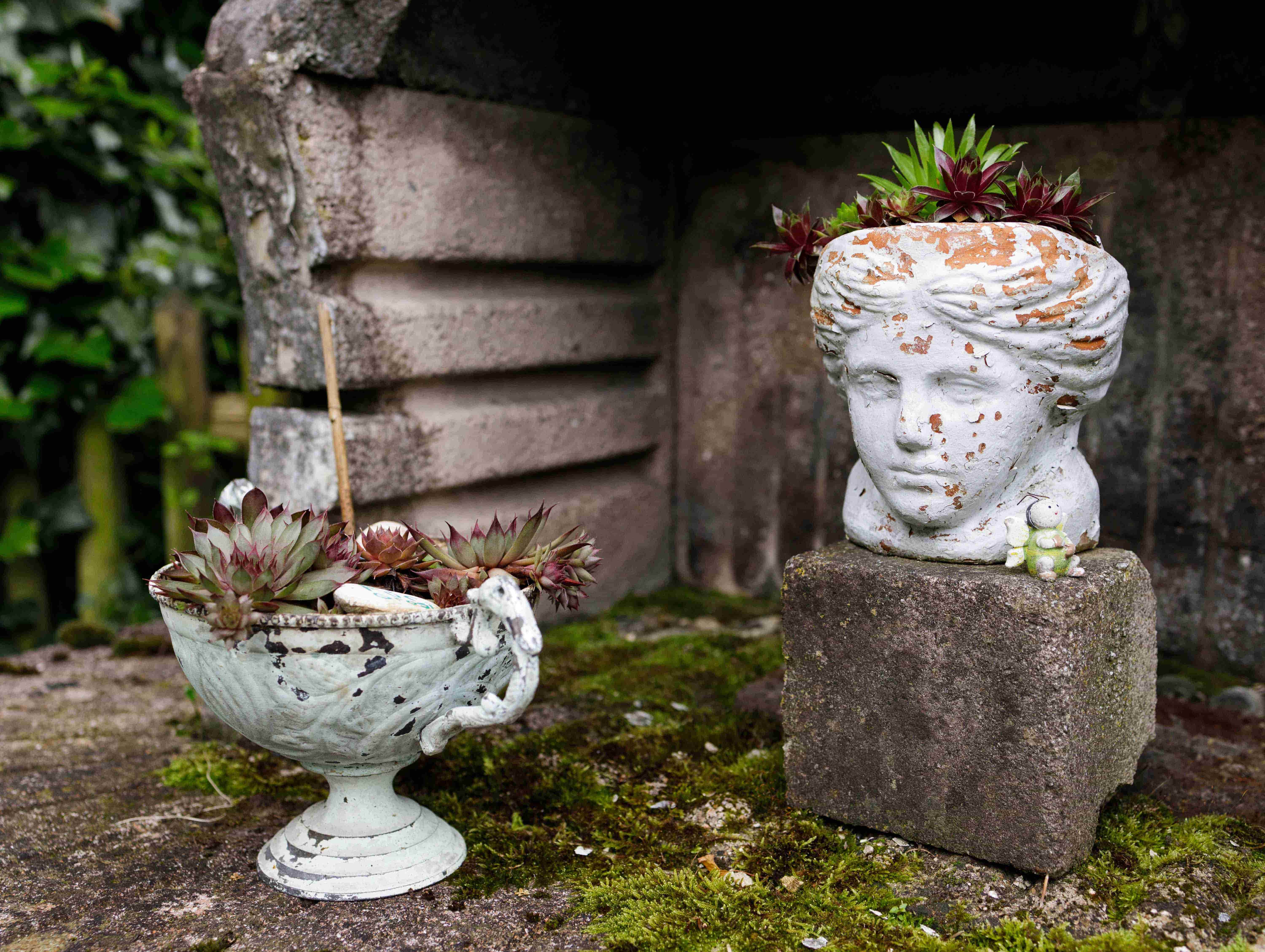 16 Johanna Kurzen Wittke min