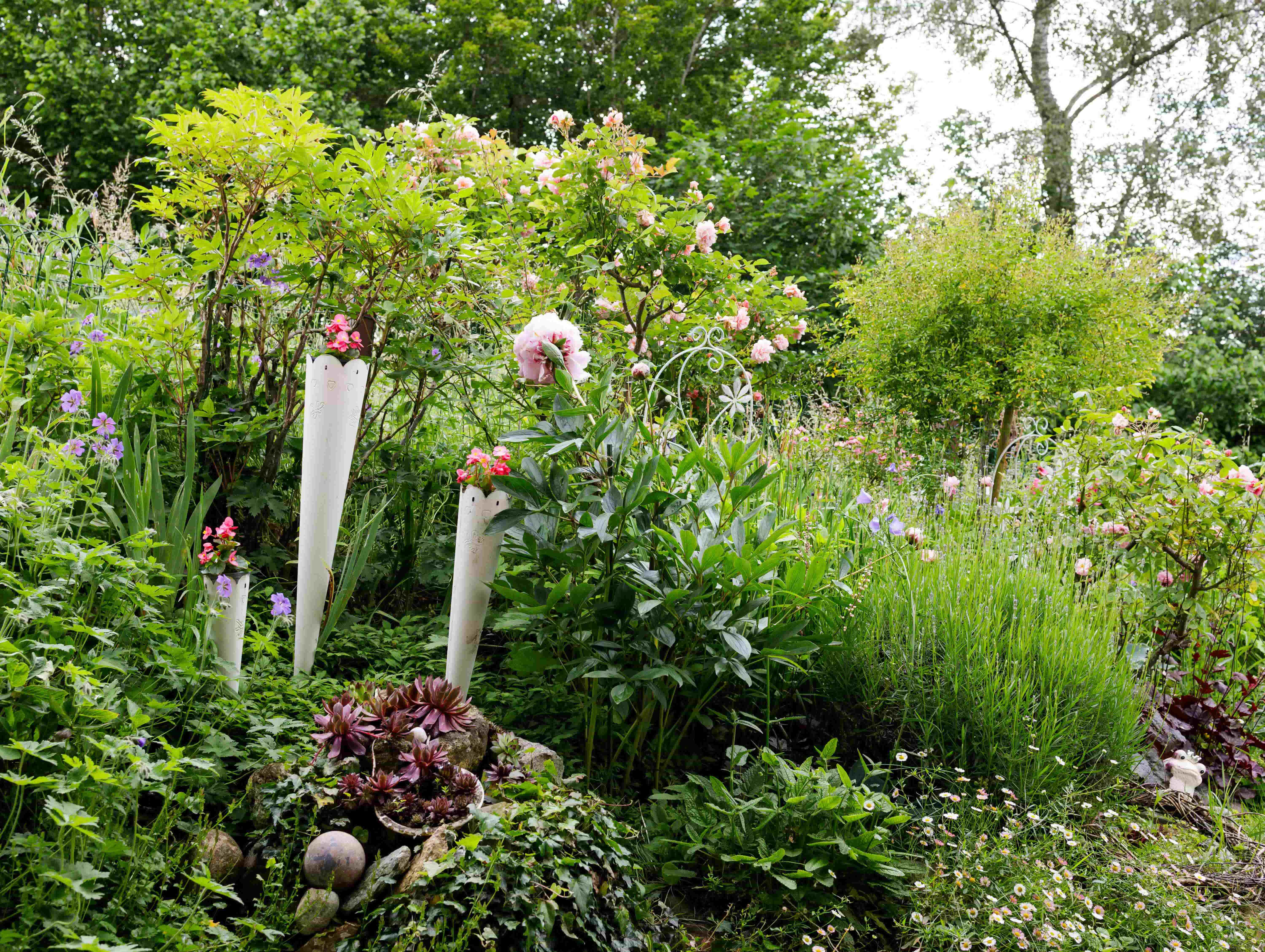 17 Johanna Kurzen Wittke min