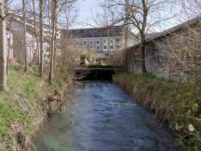 Die Worble verschwindet zurzeit noch unter dem Bernapark. Foto: Nik Egger